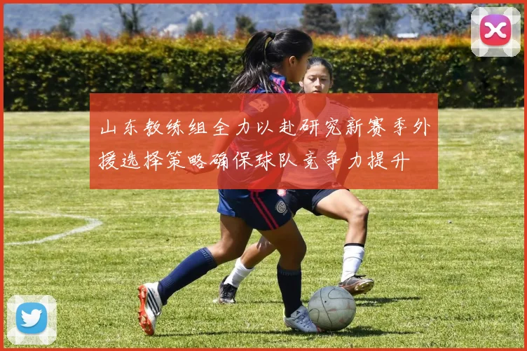 山东教练组全力以赴研究新赛季外援选择策略确保球队竞争力提升